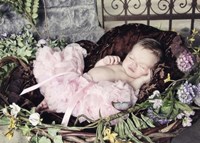 Sleeping Beauty Fine Art Print