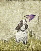 Discovering Nature Fine Art Print