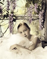 Wisteria Window Fine Art Print