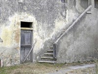 Trip 2 Fine Art Print