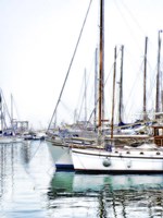 Trip Boats Fine Art Print