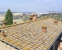 Trip Roof Fine Art Print