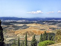 Trip Tuscany 2 Fine Art Print