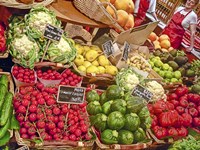 Trip Vegetables Fine Art Print