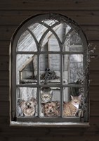 Bird Watchers Fine Art Print