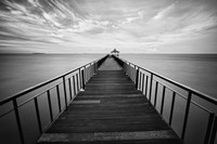 Destined Fine Art Print