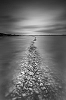 Exudos Fine Art Print