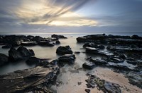 In the Middle Fine Art Print