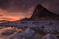 Irate Welkin Fine Art Print