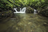 Lake Sebu Fine Art Print