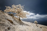 Mother and Child Fine Art Print