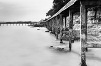 Newel Fine Art Print