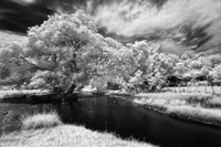 Amorsolo Fine Art Print