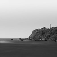 The Watcher Fine Art Print