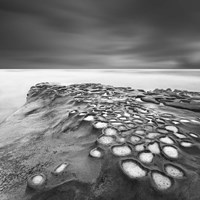 Celulas Bn Fine Art Print