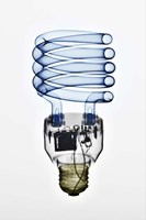 Foco Ahorrador 1 Color Fine Art Print