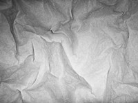 Papel 4 Fine Art Print