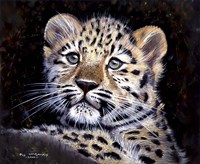 Amur Leopard Cub Fine Art Print