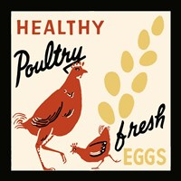 Healthy Poultry-Fresh Eggs Fine Art Print