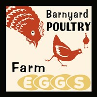 Barnyard Poultry-Farm Eggs Fine Art Print