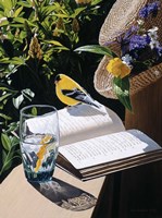 Summer Hat Fine Art Print