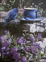 Stone Ledge Fine Art Print