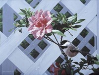 White Lattice Fine Art Print