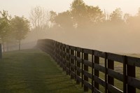 Morning Mist & Fence, Kentucky 08 Fine Art Print