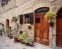 Flowers On The Wall, Tuscany, Italy 06 Fine Art Print