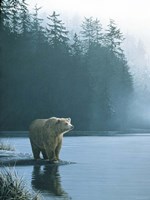 Coastal Morning Fine Art Print