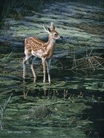 Ponds Edge Fine Art Print