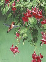 The Hanging Basket Fine Art Print