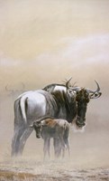 Wildebeest Fine Art Print