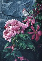 Walled Garden Fine Art Print