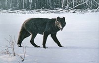 Winter Morning Fine Art Print