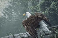 Fallen Totem Fine Art Print