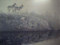 Northern Pond Fine Art Print