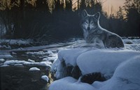 Evening Solitude Fine Art Print