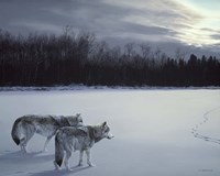 When Paths Cross Fine Art Print