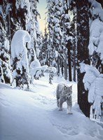 Silent Steps Fine Art Print