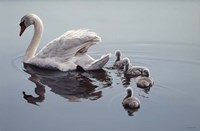 Following Mama Fine Art Print