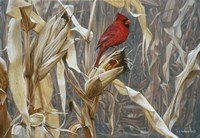 Autumn Cornfield - Cardinal Fine Art Print