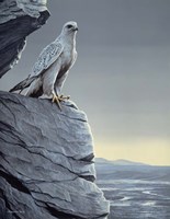 Arctic Spring Fine Art Print