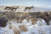 Walking The Ridge Fine Art Print