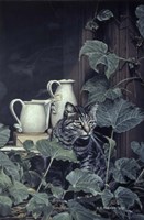 Window Sill Fine Art Print