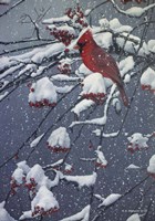 Mountain Ash Fine Art Print