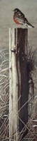 Fence Post Fine Art Print