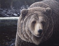 By The Falls Fine Art Print