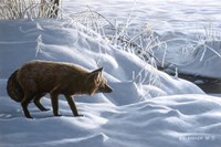 Winter Stalk Fine Art Print