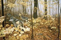 Autumn Maples - Wolves Fine Art Print